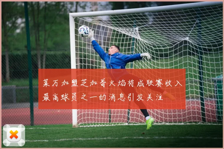莱万加盟芝加哥火焰将成联赛收入最高球员之一的消息引发关注